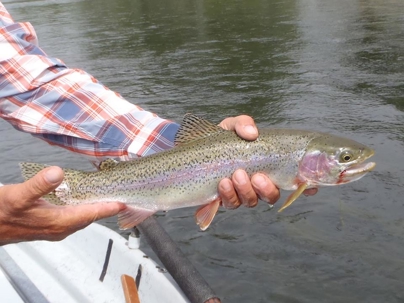 man holding fish