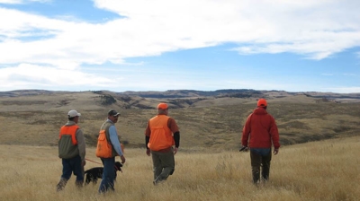 Upland Bird Hunting