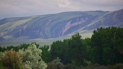 Nature Scenery at Forrester's Photo