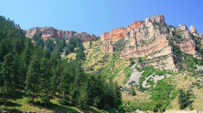 Lake Scenery at Forrester's Photo
