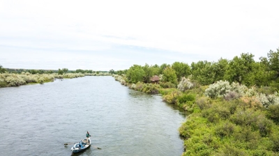 Take a Boat and Enjoy Our Lush Nature at Forrester's Photo