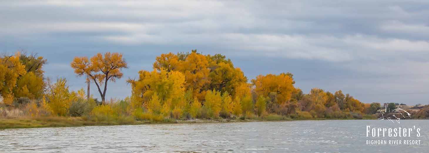 Fly Fishing, Bighorn River, Upland Bird Hunting, Montana hunting, Fishing, Montana Lodges, Fishing Lodge, Hunting Lodge