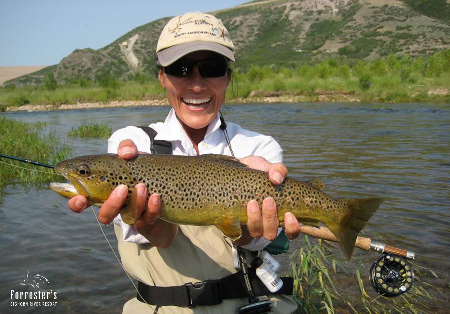 Brown Trout of the Bighorn River