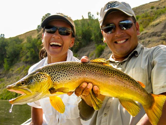 Big Trout are back in The Bighorn River