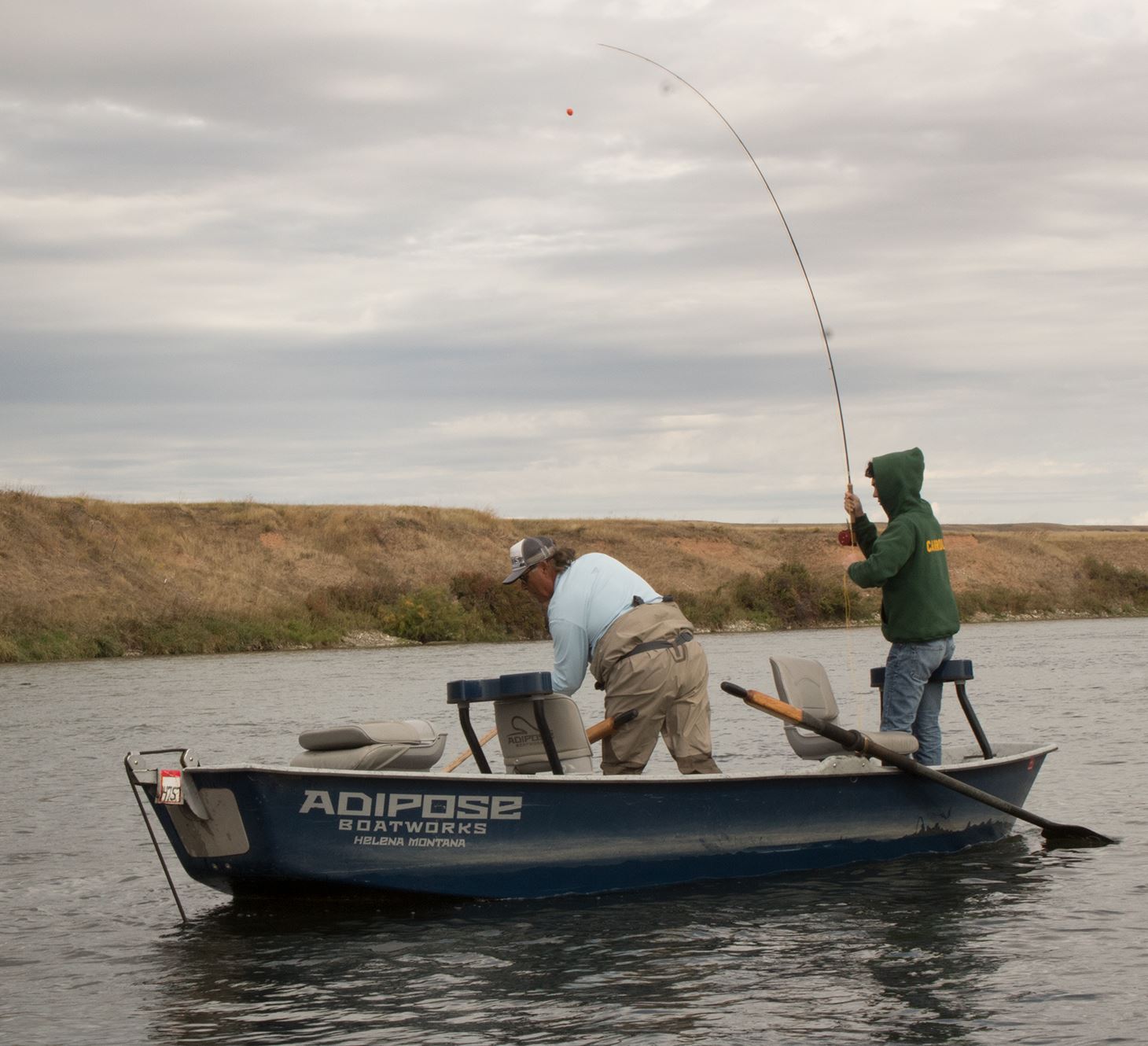 Fly fishing, Bighorn River, Fall Colors, Fly fishing, Bighorn RIver fly fishing, Bighorn River Fishing reports, fishing reports