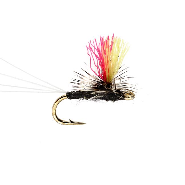 Bighorn River, Fly Fishing, fishing, Trico May flies, Dry flies.