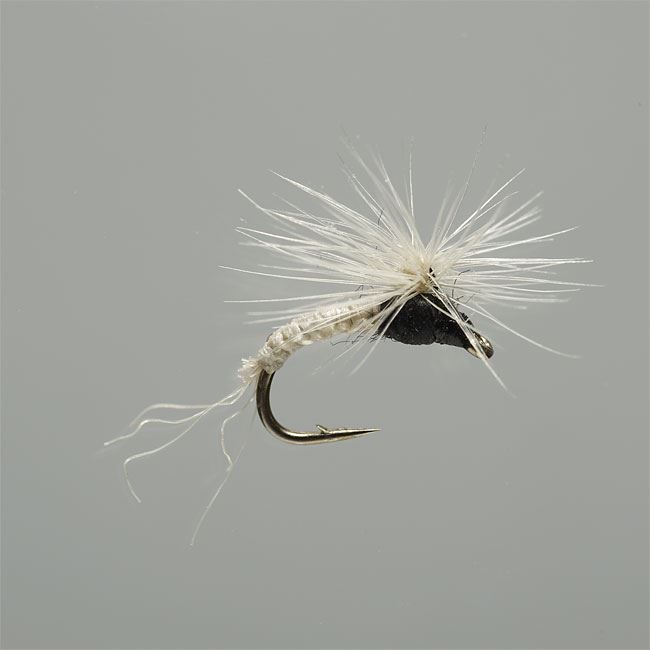 Fly Fishing Tricos - a Great Summer Hatch - Simpson Fly Fishing